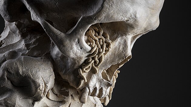 Vanitas V  Lacrimosa , patinovan� keramika, 60 x 28 x 39cm, 2021.