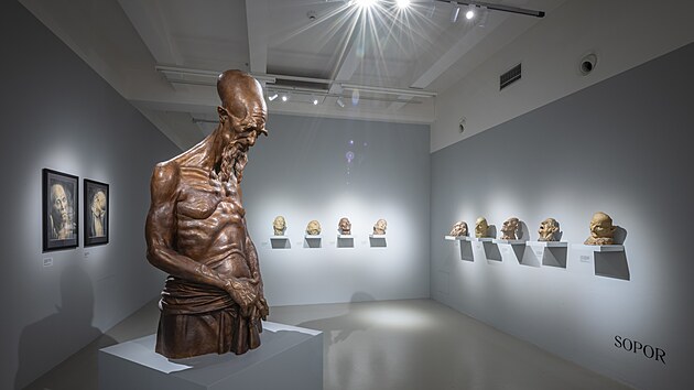 Velekn�z, patinovan� s�dra, 140 x 60 x 55 cm, 2020_2021.