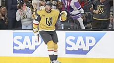 Tomá Hertl z Vegas Golden Knights se raduje z gólu proti Minnesota Wild.