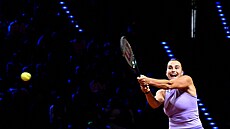 Aryna Sabalenková ve finále turnaje v Stuttgartu.