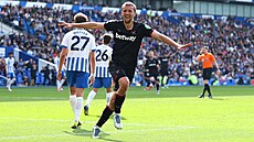 Tomá� Sou�ek z West Hamu slaví gól v utkání s Brightonem.
