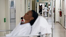 Epidemie nemoci chikungunya v posledních m�sících zu�uje obyvatele ostrovu...