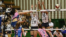 Prost�jovská sme�a�ka Mia Wesley (vlevo) byla ve finálové sérii s Olomoucí...