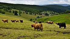 Malá Úpa: tady koní asfalt a zaíná pohoda