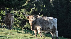 Malá Úpa: tady kon�í asfalt a za�íná pohoda