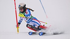 Francouzská ly�a�ka Margot Simondová.