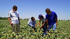 íntí zemdlci si vymují zkuenosti se svými uzbeckými kolegy. (25. ervna...