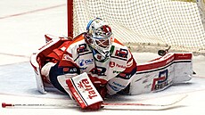 Amerian Peter Mueller z Komety pekonává pardubického gólmana Romana Willa v...