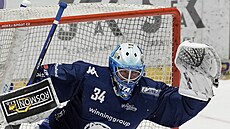 Branká Komety Michal Postava v sedmém finále hokejové extraligy proti...