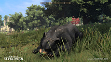 The Elder Scrolls: Skyblivion