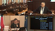 Za t�i roky hrozí nedostatek proudu, upozornil Adamec