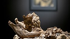 Vanitas VIII  Fractura ,  patinovaná keramika, 24 x 27 x 42 cm, 2024.