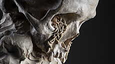 Vanitas V  Lacrimosa , patinovaná keramika, 60 x 28 x 39cm, 2021.