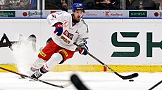 eský útoník Filip Zadina v akci