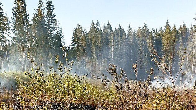 U obce Velk Jeov na Tborsku hoela lesn hrabanka. Por zashl plochu zhruba dva hektary. (29. dubna 2025)