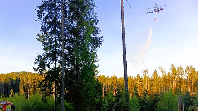 U obce Velk Jeov na Tborsku hoela lesn hrabanka. Por zashl plochu zhruba dva hektary. Hasim pomhal policejn vrtulnk s bambivakem. (29. dubna 2025)