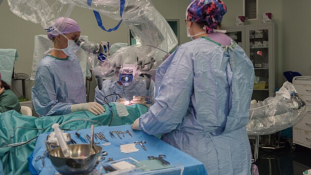 Lkai v brnnsk Dtsk nemocnici jako prvn v esku zavedli ron pacientce do ucha kochlern implantt pomoc robotickho ramena. Pedtm vak museli sami pipravit pstupovou cestu a do vnitnho ucha a otevt takzvan okrouhl oknko, kter se nachz na hlemdi.