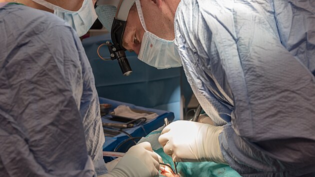Lkai v brnnsk Dtsk nemocnici jako prvn v esku zavedli ron pacientce do ucha kochlern implantt pomoc robotickho ramena. Pedtm vak museli sami pipravit pstupovou cestu a do vnitnho ucha a otevt takzvan okrouhl oknko, kter se nachz na hlemdi.