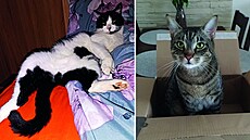 Nejroztomilej�í mazlí�ci m�sice dubna se mohou radovat z výher od zna�ky PRO...