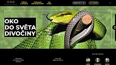 Olomoucká zoo testuje nové internetové stránky.