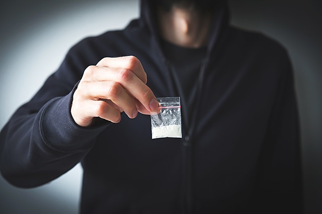 Razie proti pašerákům. Policie zadržela 21 lidí a zabavila přes 10 kilogramů drog