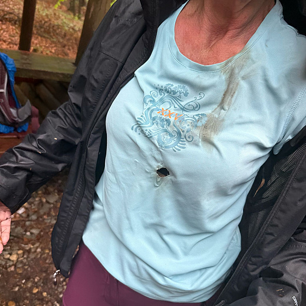 Kdy zásah blesku zpsobil turistm popáleniny v oblasti hrudníku, v obleení...