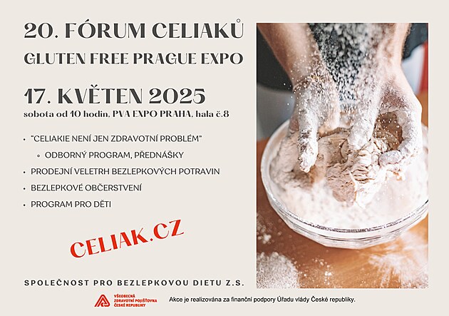 Bezlepkov� festival v Let�anech