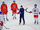 Útoníci Luká Sedlák, David Voenílek, Filip Zadina a David Pastrák...