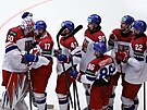 etí hokejisté si navzájem gratulují po úspném duelu se výcarskem.