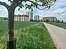 Chrudim chystá cesty k lesu, Topol protestuje. (7. kv�tna 2025)