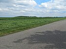 Chrudim chystá cesty k lesu, Topol protestuje. (7. kv�tna 2025)