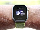 Huawei Watch Fit 4 Pro