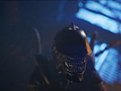 Alien: Rogue Incursion Evolved Edition