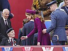 Princezna Kate a princ William na oslavách Dne vítzství v Evrop v Londýn (5....