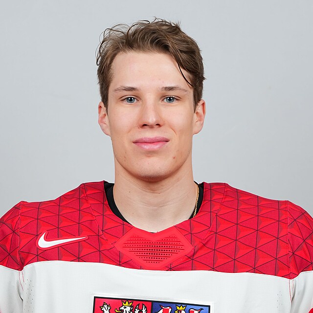 Ji Tichek