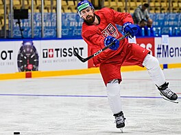 Filip Hronek zakon�uje na rozbruslení p�ed utkáním se �výcary.