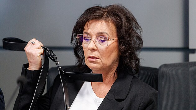 Ekonomka z Jind�ichova na �umpersku Jana Baslerova p�ed Okresním soudem v...