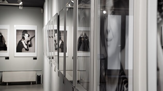 Galerie Tanc dm otevela retrospektivn vstavu vnovanou ikonickmu fotografovi Robertu Vanovi.