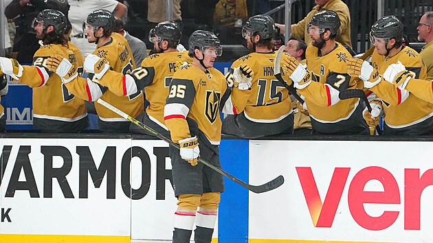 Victor Olofsson slav� se spoluhr��i svoji branku.