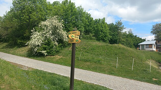 Chrudim chyst cesty k lesu, Topol protestuje. (7. kvtna 2025)