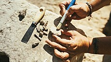 Archeologie nepot�ebuje vylep�ovat senzacemi. Existenci p�edv�kých vysp�lých...