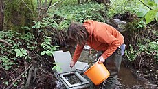 Do severo�eských �ek se vrátilo p�ed 40 tisíc losos� a pstruh�