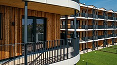 Timber Praha - Arcus City 