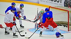 �eský branká� Daniel Vlada� zasahuje na tréninku národního týmu.