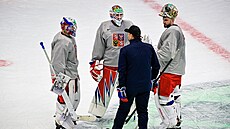Trenér branká�� Ond�ej Pavelec (zády) komunikuje na �eském tréninku se svými...
