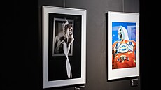 Galerie Tanící dm otevela retrospektivní výstavu vnovanou ikonickému...