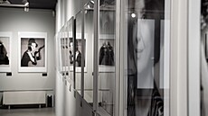 Galerie Tanící dm otevela retrospektivní výstavu vnovanou ikonickému...