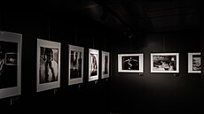 Galerie Tanící dm otevela retrospektivní výstavu vnovanou ikonickému...