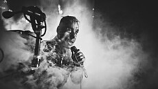 Till Lindemann, zpvák kapely Rammstein