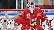 Branká Karel Vejmelka bhem rozbruslení ped zápasem proti výcarsku.